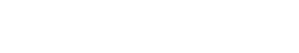Insect Flight – Experimental Zoology Group of Wageningen University