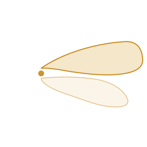 Insect Flight – Experimental Zoology Group of Wageningen University